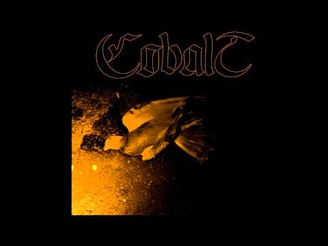 Cobalt - Cephalopod