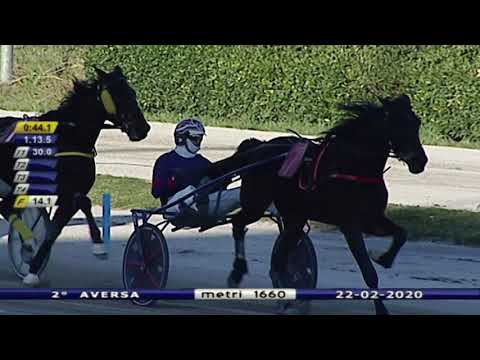Aversa trotto 22 Febbraio 2020 - 2° Corsa