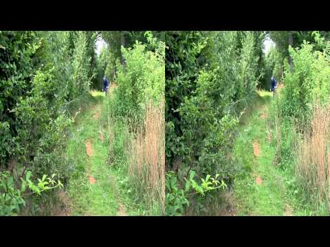 Test Cube AMS 130 Race