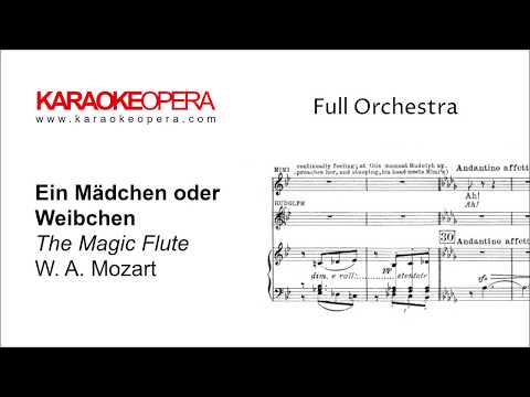 Karaoke Opera: Ein Mädchen oder Weibchen - Die Zauberflöte (Mozart) Orchestra only with music