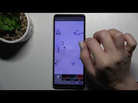 How to Manage Wallpaper Settings on Sony Xperia 5 III - Change Lock Screen Wallpaper