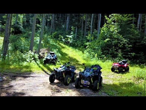 Can Am Renegade Polaris Scrambler Yamaha Burin in the Forest