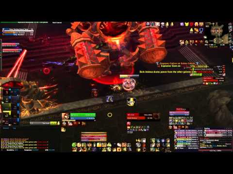 Phoeníx vs Dark Animus 10 man Heroic - Tank PoV