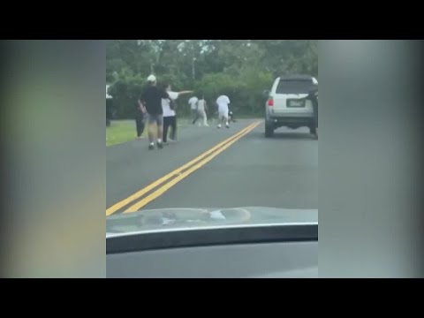 Large street fight shuts down Hilo road