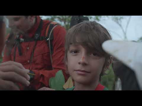 Los cuentos del bosque - Tráiler