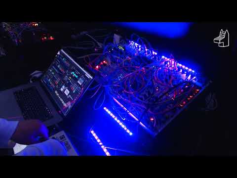 Powwow Spotlight: Akihiko Matsumoto