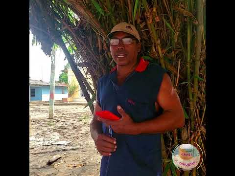 Palenquito Pinillos Rio Chicagua