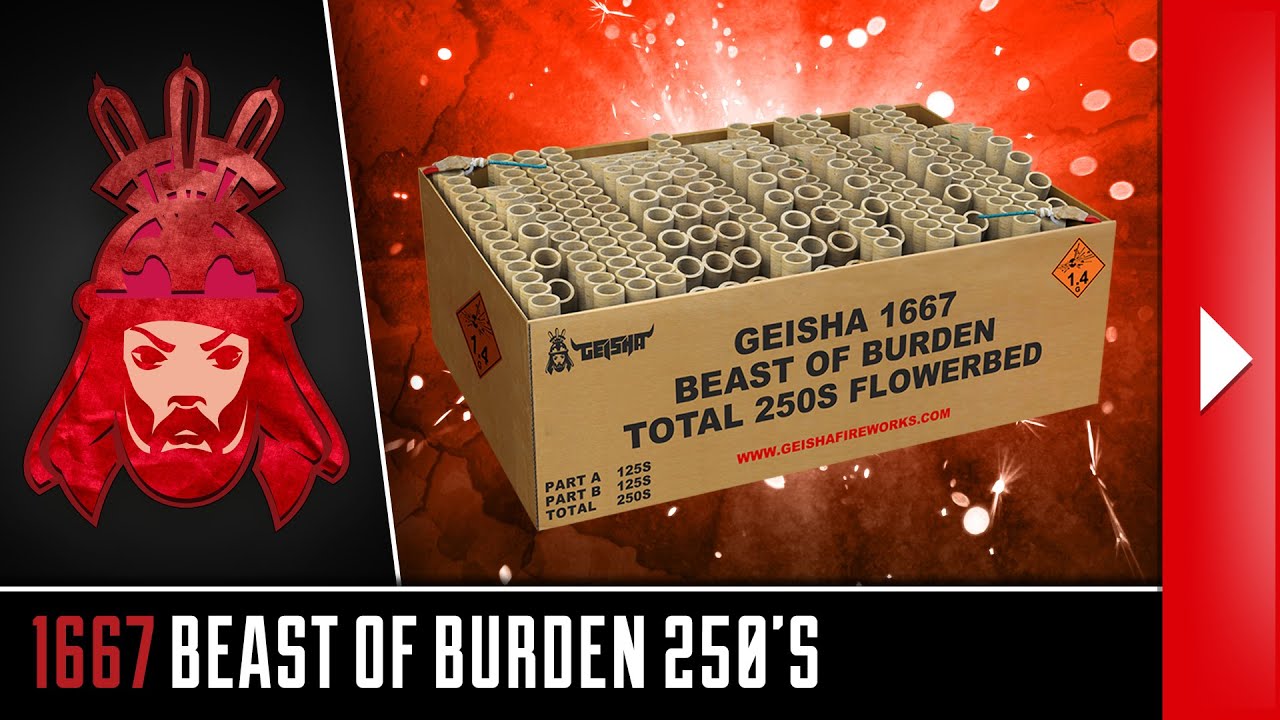 Video Beast of Burden