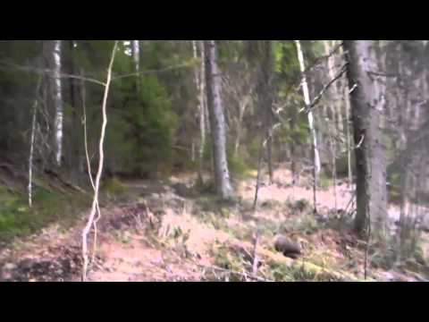 Lähdön hetki 21.4.2014