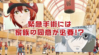 【はたらく細胞コラボ】「考えよう！もしものときの循環器病対策」篇