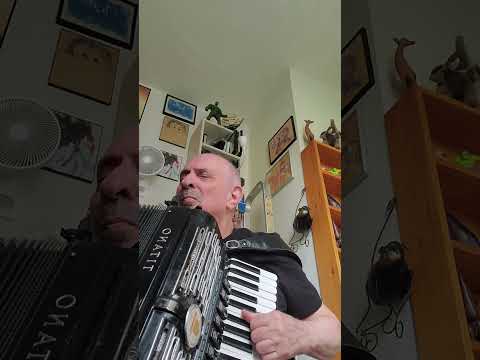 Cynical melodies - endless repetitions - William Schimmel