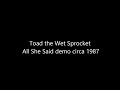 Toad the Wet Sprocket  - All She Said demo circa 1987