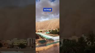Download lagu Penampakan mahluk misterius ❗❗😱 😱  #shorts #googleearth #viralvideo #penampakan  #wow mp3
