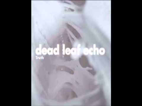Dead Leaf Echo 