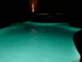 Bat Flying Around Pool