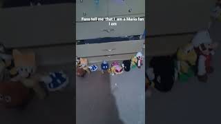 I am a Mario fan