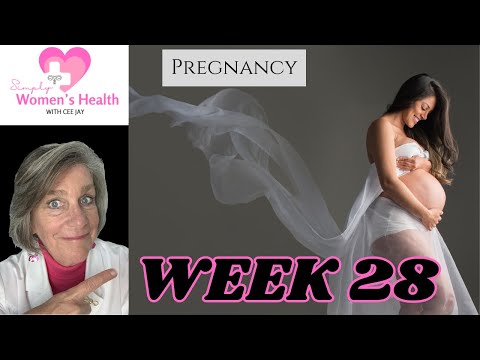 Pregnancy Week 28: Your Baby, Your Symptoms and What to Expect At Your Prenatal Appointment