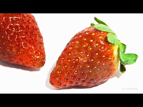 download lagu mp3 mp4 Mouldy Strawberries, download lagu Mouldy Strawberries gratis, unduh video klip Mouldy Strawberries