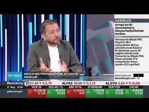 BLOOMBERGHT | Dünya Arı Günü