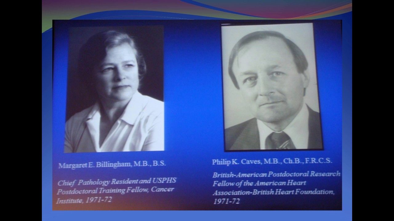 Prof. Dr. Ömer Bayezid Kalp Transplantasyonu Tarihçesi
