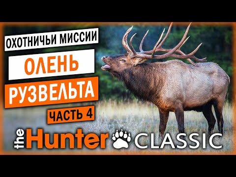 ОХОТА НА ОЛЕНЯ РУЗВЕЛЬТА! | Охотничьи Миссии | theHunter Classic 🐻 | (часть 4)