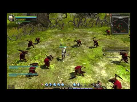 Dragon Nest Arch Heretic Skill Derp