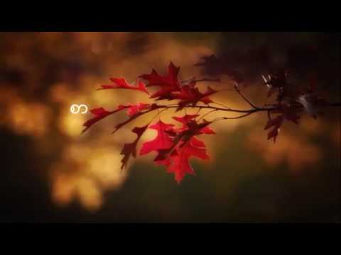 Myanmar Gospel Song - စာ ( Lyrics & Chords )