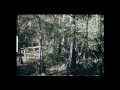 THE HARLAN FORD FOOTAGE (Honey Island Swamp Monster)