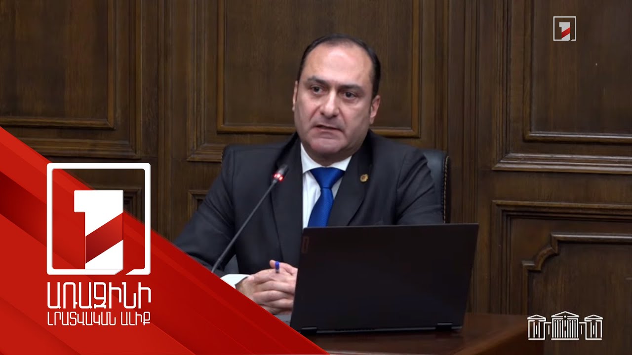 Հաշվի առնե՞լ՝ ինչ կմտածեն ԵԱՏՄ-ում, թե՞ գնալ ՀՀ շահերի ուղղությամբ. քննարկում ԱԺ-ում