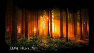 Burzum - Autumn leaves