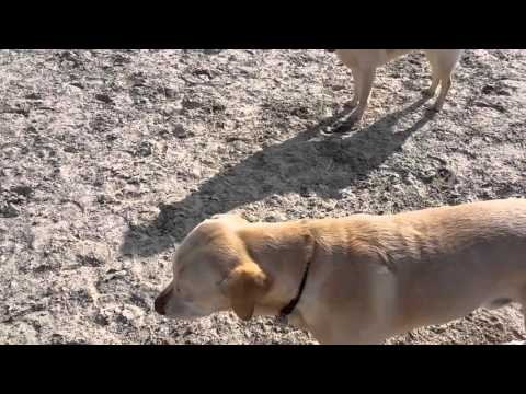 01.03.16 mit den Großen in Igstadt