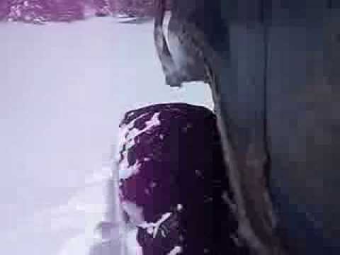 37x14x15 Super swamper IROK bias in deep snow