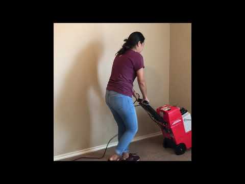 image-What is the best brand of carpet cleaner?