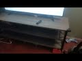Blue Planet Part 19