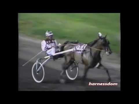 1997 Meadowlands FEEL THE MOTION John Campbell-Merrie Annabelle Trot Final