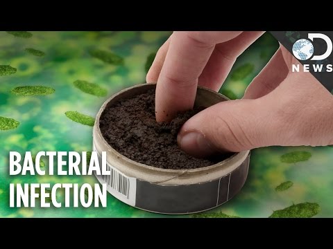 Is Chewing Tobacco Better For You Than Smoking?