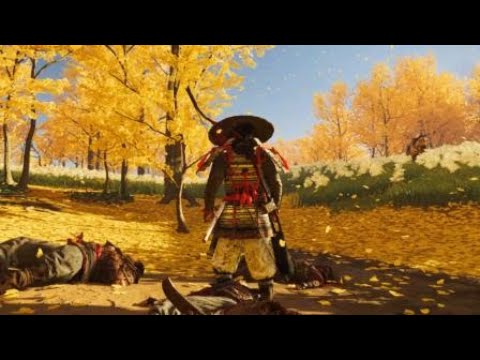 Ghost of Tsushima Daylight Combat