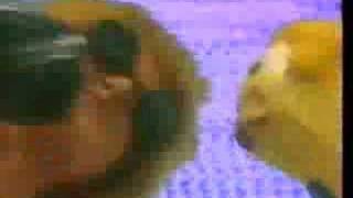 CHRISTMAS - Big Plans