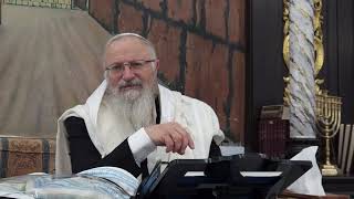 הסוד הפלאי של ירושלים | הרב שמואל אליהו | הלכה יומית | כ"ג אייר תשפ"ד (הרב שמואל אליהו) - התמונה מוצגת ישירות מתוך אתר האינטרנט יוטיוב. זכויות היוצרים בתמונה שייכות ליוצרה. קישור קרדיט למקור התוכן נמצא בתוך דף הסרטון