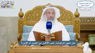 4119 - هل تجوز المراهنات على الأجمل من الخيل أو الإبل؟ - عثمان الخميس