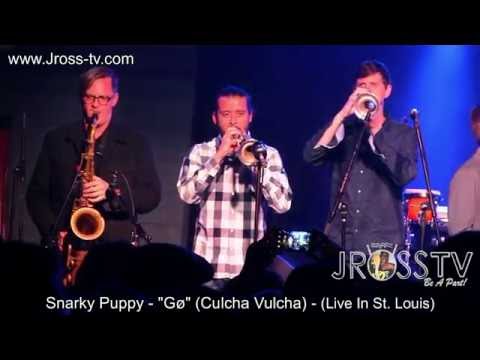 James Ross @ Snarky Puppy -  "GØ" - (Live In St. Louis) - www.Jross-tv.com
