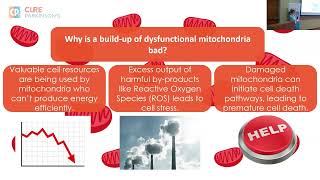 Introduction to Cell Biology: Mitochondria and Energy Production (Rallying 2025)