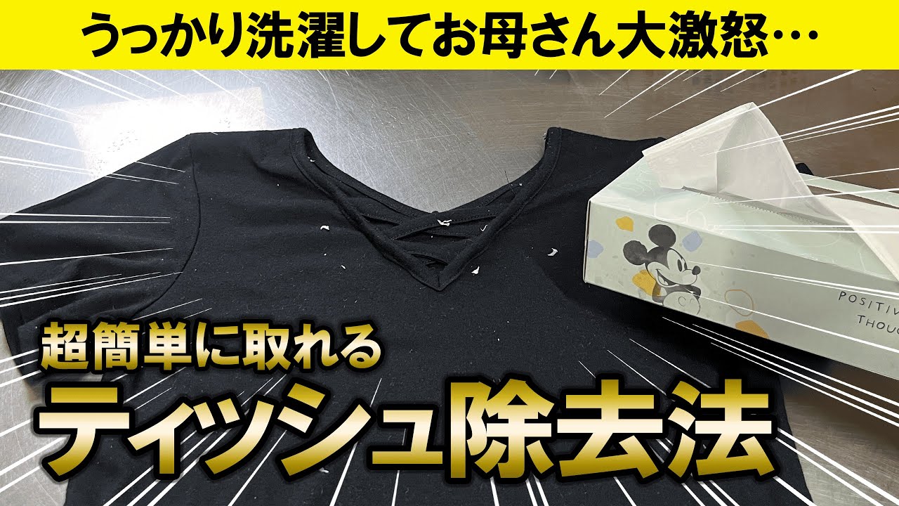 【ライフハック】うっかりティッシュを洗濯したときの除去方法3選