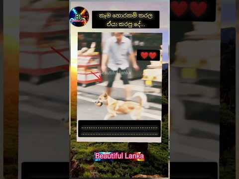 අවසානෙට මූන දැක්කම හදවතට මොකද්ද උනාවගෙ😔❤️#viralvideo #subscribe