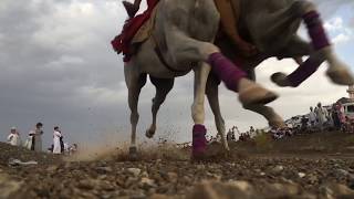 preview picture of video 'عرضة الخيل ولاية بهلاء عمان Horse Show in Bahla'