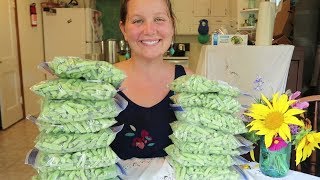 Freezing Green Beans Without Blanching Them First! - Garden Harvest Preservation