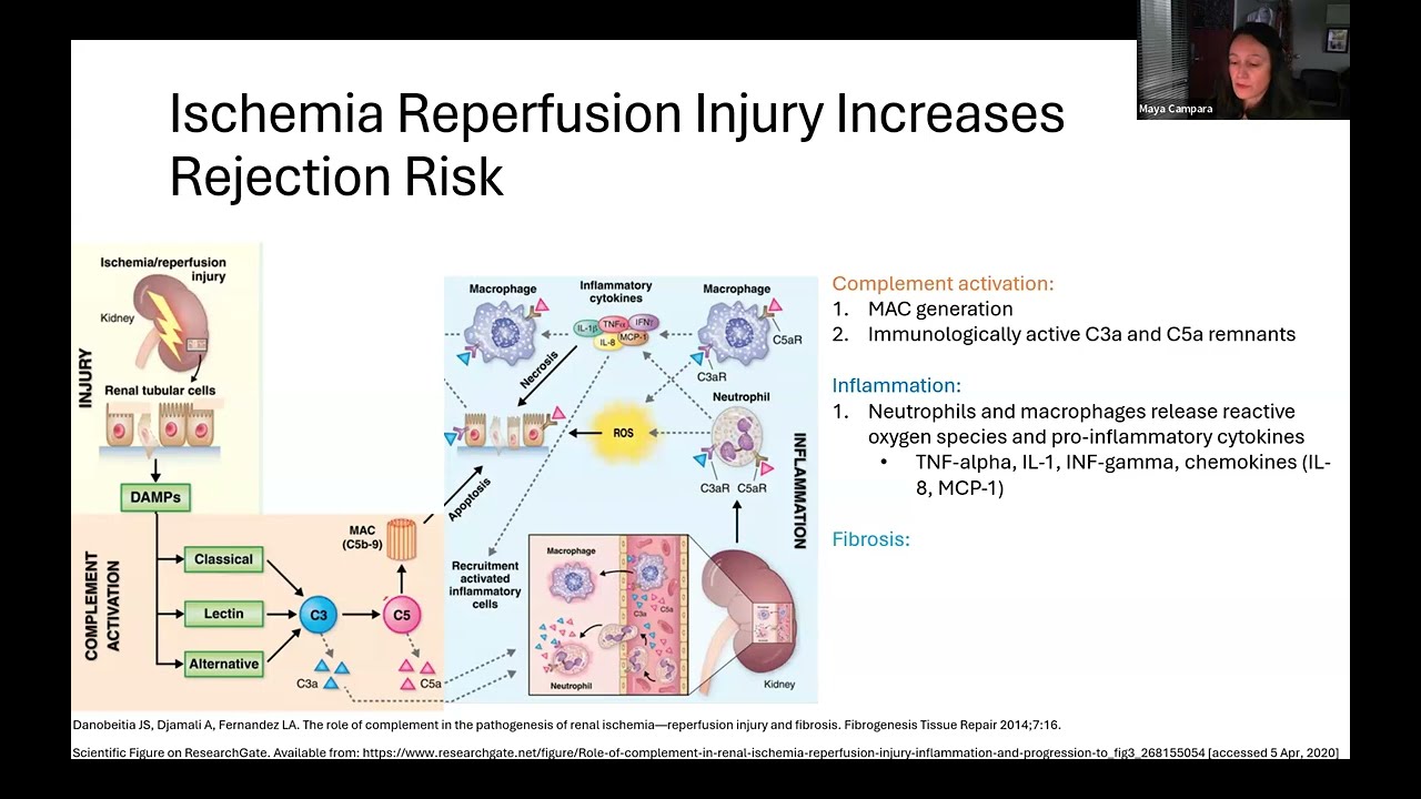 ACCP TXP 2024 Seminar Series