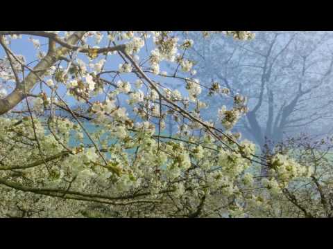 Blueschtwanderung im Schwarzbubenland