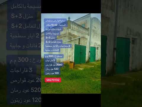 Senya agricole à vendre à Slimane -10,63 hectares
