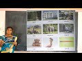 II ENGLISH DAY 27 NAMING WORDS